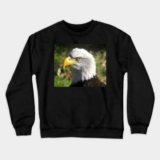 Noble Crewneck Sweatshirt